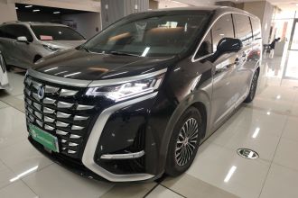 腾势D9 2024款 DM-i 980 四驱尊贵型