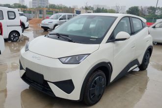 比亚迪 海鸥 2025款 智驾版 305km 活力版