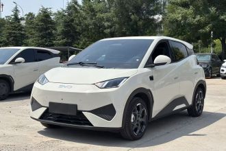 比亚迪 海鸥 2025款 智驾版 305km 自由版