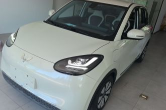 五菱汽车 五菱缤果 2023款 333km 灵犀互联+款