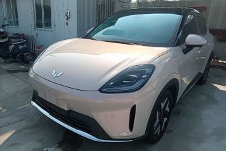 五菱汽车 缤果S 2025款 325km 旗舰款