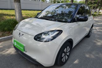 五菱汽车 五菱缤果 2023款 333km 悦享款