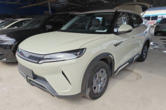 比亚迪 元UP 2024款  401KM 活力版