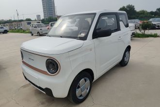 吉利银河 2024款 熊猫mini 200km 耐力熊