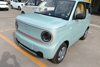吉利银河 2024款 熊猫mini 200km 耐力熊