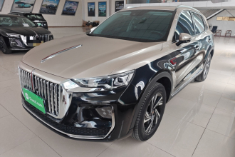 红旗HS5 2022款 2.0T 智联旗享乐购版