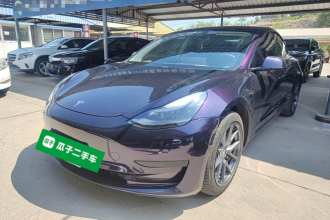 特斯拉 Model 3 2021款 标准续航后驱升级版