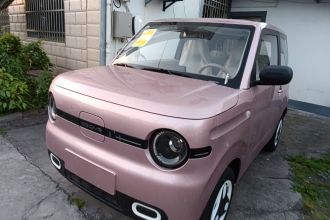 吉利银河 2025款 熊猫mini 210km 元气熊
