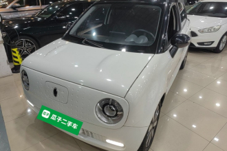 欧拉黑猫 2021款 351km 标准型
