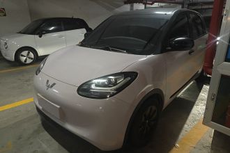 五菱汽车 五菱缤果 2023款 203km 轻享款