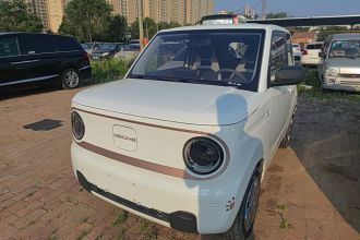 吉利银河 2023款 熊猫mini 120km 超萌熊