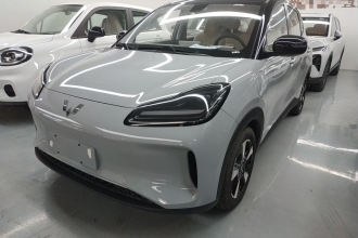 五菱汽车 五菱缤果PLUS 2024款 401km 五座版