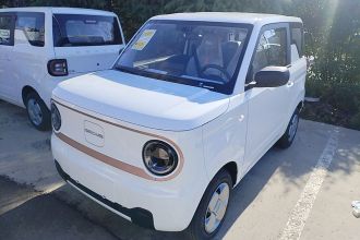 吉利银河 2024款 熊猫mini 200km 耐力熊