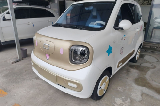 奔腾小马 2024款 170km 活力马