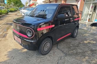 吉利银河 2023款 熊猫mini 200km 耐力熊