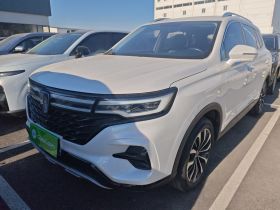 荣威RX5 MAX 2021款 Supreme系列 300TGI 自动智能座舱版