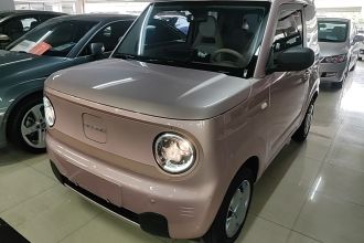 吉利银河 2024款 熊猫mini 200km 耐力熊