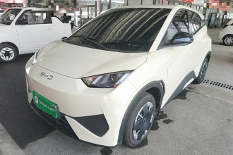 比亚迪 海鸥 2025款 智驾版 305km 活力版