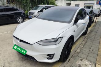 特斯拉 Model X 2019款 长续航版