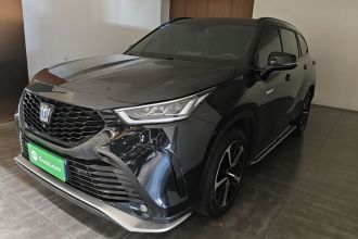 丰田 皇冠陆放 2023款 2.5L HEV四驱尊贵版