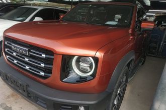 哈弗大狗 2021款 1.5T DCT两驱马犬版