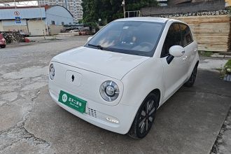 欧拉黑猫 2019款 351km 亲子版