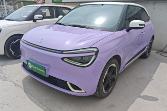 东风纳米 纳米01 2024款 430 Plus智+