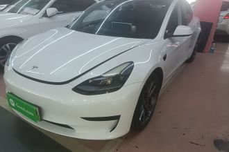 特斯拉 Model 3 2021款 标准续航后驱升级版