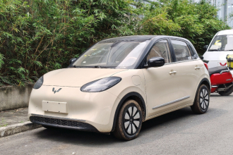 五菱汽车 五菱缤果 2025款 333km 悦享款