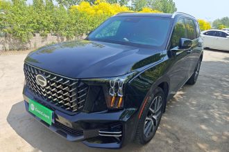 广汽传祺 传祺GS8 2024款 领航系列 2.0TGDI 两驱豪华智联版 7座