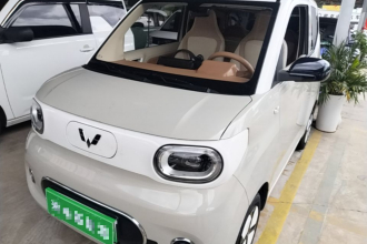五菱汽车 宏光MINIEV 2024款 第三代 215km 进阶版