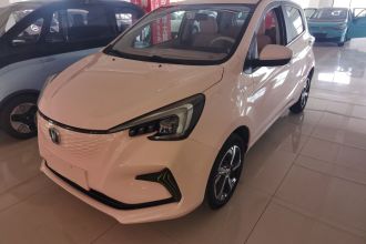 长安 奔奔E-Star 2022款 清心版 多彩款 磷酸铁锂