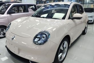 欧拉好猫 2023款 401km标准续航 豪华型 磷酸铁锂