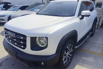 哈弗大狗 2021款 1.5T DCT两驱马犬-旺财版