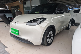 五菱汽车 五菱缤果 2023款 333km 悦享款