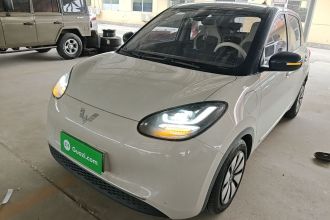 五菱汽车 五菱缤果 2023款 333km 悦享款