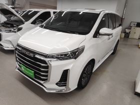 上汽大通MAXUS 大通G20 2021款 PLUS 2.0T 汽油自动智尊版