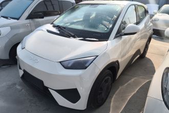 比亚迪 海鸥 2025款 智驾版 305km 活力版