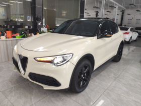 阿尔法·罗密欧 Stelvio斯坦维 2017款 2.0T 200HP 精英版