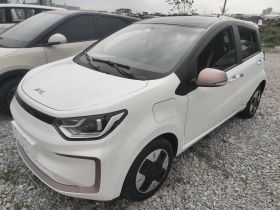 江淮钇为 钇为花仙子 2024款 挚爱版 301km Lite