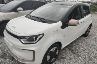 江淮钇为 钇为花仙子 2024款 挚爱版 301km Lite