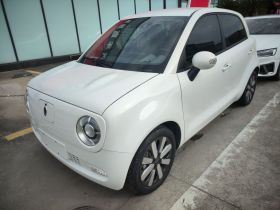 欧拉黑猫 2021款 351km 豪华型