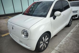 欧拉黑猫 2021款 351km 豪华型