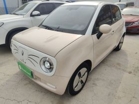 欧拉黑猫 2021款 301km 基础型