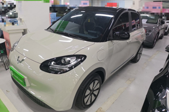 五菱汽车 五菱缤果 2024款 203km 轻享款