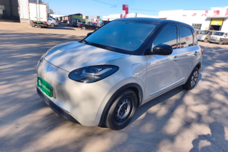 五菱汽车 五菱缤果 2024款 333km 悦享款