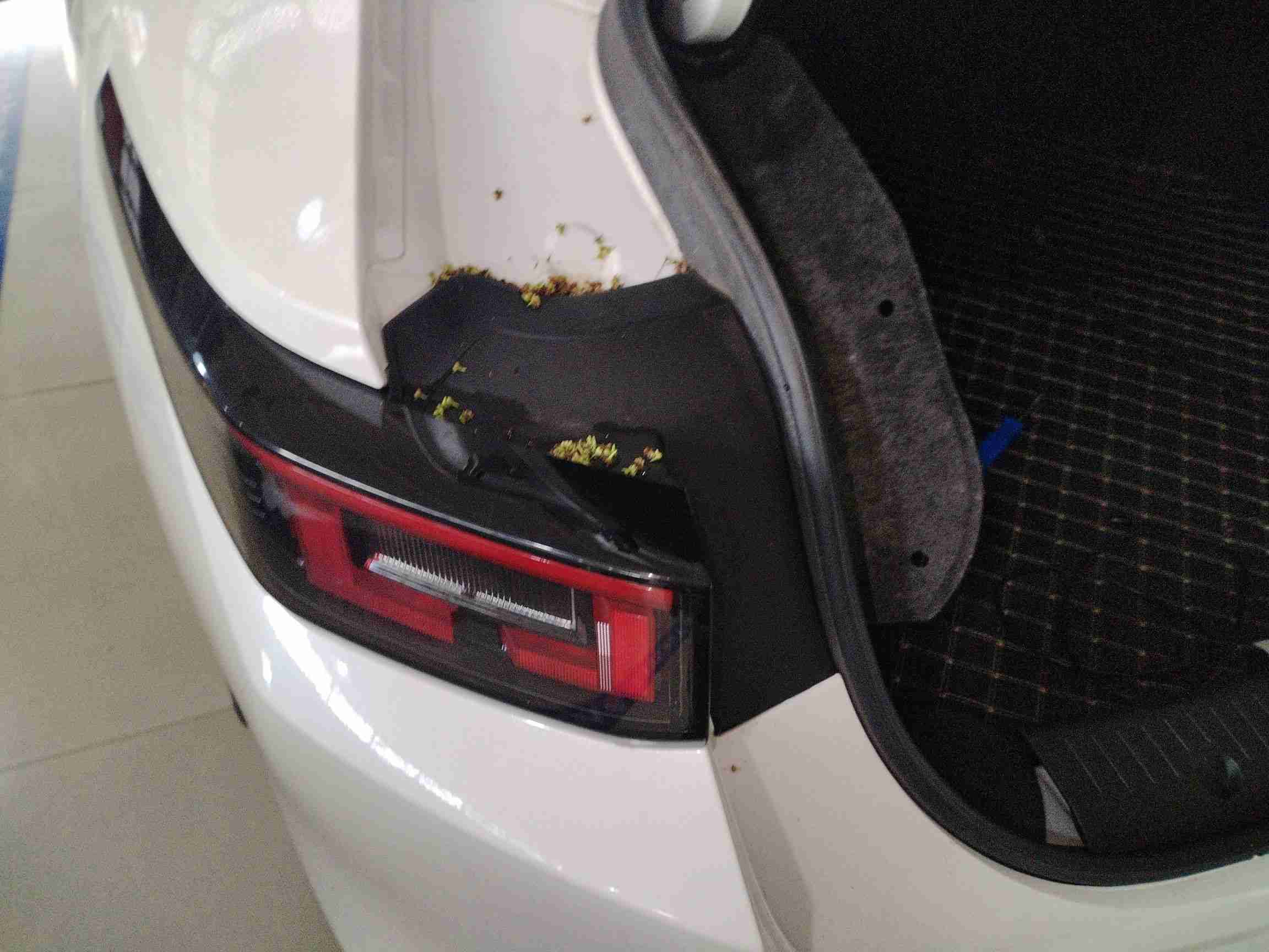 左后尾灯更换记录对应部位实拍