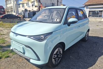 凯翼拾月 2025款 Mate 300km踏浪版