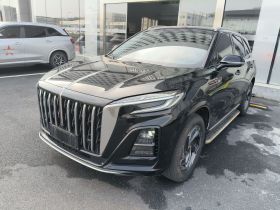 红旗HS3 2023款 1.5T 两驱善为版