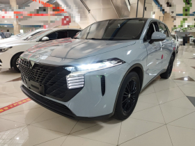 启辰大V 2021款 260T 爱豆版